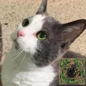 Meet your Posher, Alana